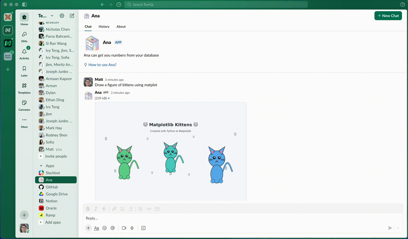 blog/slack-launch/dm_ana.gif
